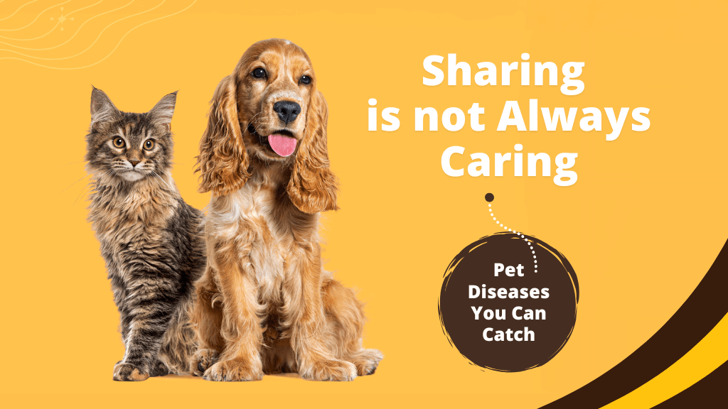 Sharing is not always caring - pet diseases you can catch Sharing is not always caring - pet diseases you can catch